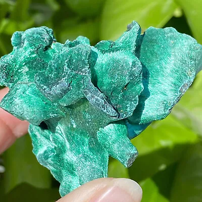 472G Natural Green Malachite Crystal Fiber Cluster Rough Mineral Sample • $0.99