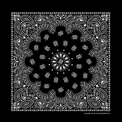 USA MADE HAV-A-HANK 2-Sided Cotton PAISLEY BANDANNA BANDANA Wrap Scarf Hanky • $3.40