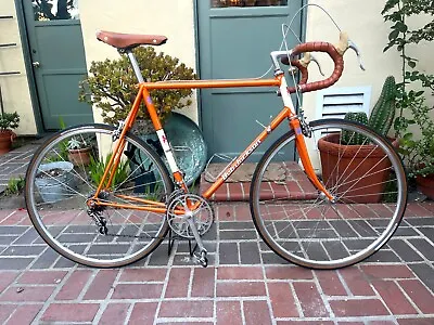 Vintage Bob Jackson 59cm Roadbike Reynolds 753 Campagnolo Everything • $1650