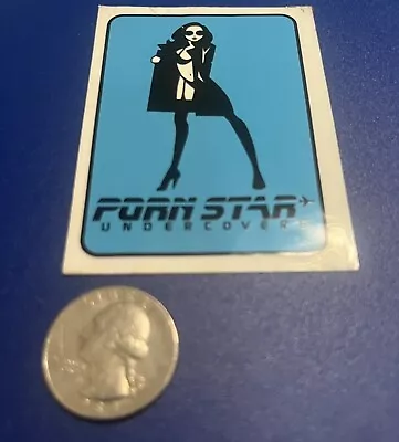 NEW Porn Star Wet Humor S&M VINTAGE Clothing Skateboard Sticker Sexy Girl • $4.99