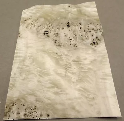 Mappa Burl Wood Veneer 11  X 16  Raw With No Backing 1/42  Thickness A Grade • $27.50