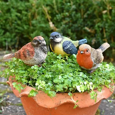 3 Garden Bird Ornaments British Birds On Stick Garden Decor Robin Sparrow & Tit • £15.99