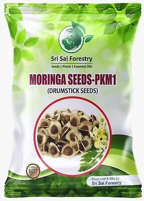 Moringa Seebs PKM For Agriculture Lands - 100 Seebs - Drumstick Seeb 100 Gram. • $67.12