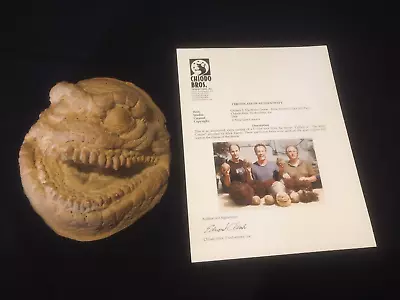 ORIGINAL Critters II (1988) Krite Head Casting SCI-FI Horror Movie Film Prop COA • $616.58