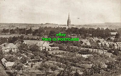 R602036 44398. Salisbury From Harnham Hill. Sepiatone Series. Photochrom. 1922 • £7.99