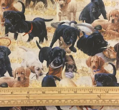 Fat Quarter Labrador Puppies Allover In Fields 100% Cotton Quilting Fabric • £4.40