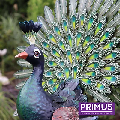 Primus Hand Painted Small Metal Displaying Peacock Outdoor Garden Patio Ornament • £39.99