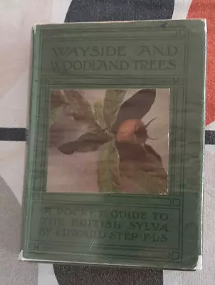 Wayside And Woodland Trees. Edward Step. 1926 . Rare Dustjacket (Medlar Fruit) • £15.99