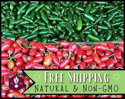 450+ Jalapeno Hot Pepper Seeds Vegetable Gardening Seed Heirloom Non-GMO USA • $5.99