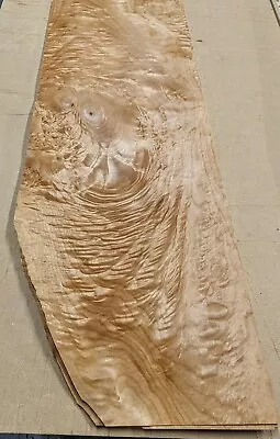 Maple Burl Cluster Wood Veneer Sheet 11  X 33  Raw No Backing 1/42  Thickness • $45