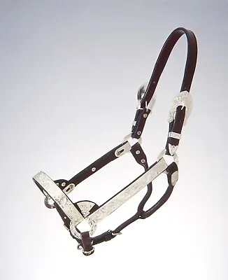 Silver Show Halter - Miniature Horse Sz Large - Dark Oil Leather - Matching Lead • $55.90