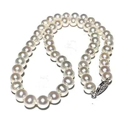 Top Grading AAAAA Japanese Akoya 8-9mm White Pearl Necklace 18  14K Gold Clasp • $48