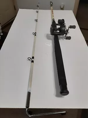 Trolling Fishing Rod Berkley 7'Med Heavy 10-30lb And Reel Cabela's DM III 20 • $87