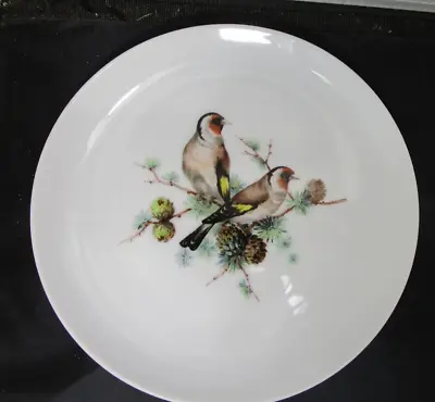 Mottahedeh Bird Plate (294) • $9