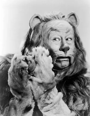 Wizard Of Oz  Cowardly Lion  8 X 10 Photo Picture #b1 • $5.99