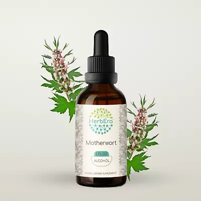 HerbEra Motherwort Herbal Extract Tincture Organic (Leonurus Cardiaca)  • $21.97