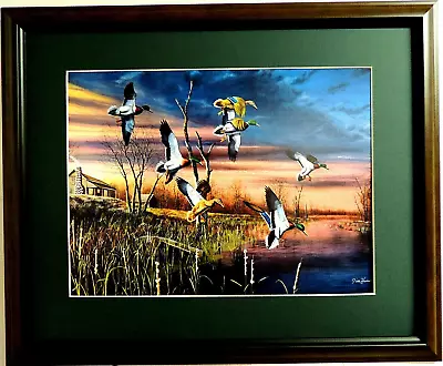 Mallard Duck Picture Final Approach Waterfowl Jim Hansel Matted Framed 16x20 • $74.95