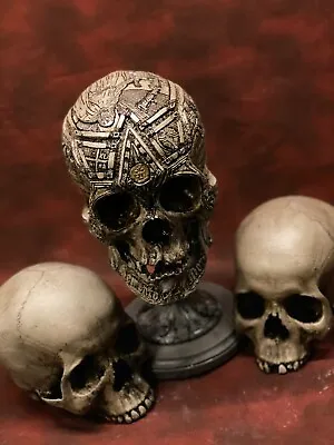 Jacques De Molay  Real Human Skull RESIN REPLICA Templar Masonic Zane Wylie • $327