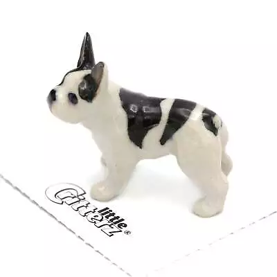 Little Critterz Dog - French Bulldog  Maximus  - Miniature Porcelain Figurine • $12.99