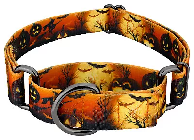 Country Brook Petz® Midnight Fright Gunmetal Martingale Dog Collar • $12.97