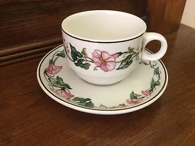 Villeroy & Boch | Palermo | Tea Cup & Saucer • $8