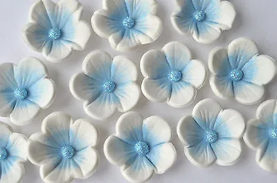 24 Edible Blue/ White Blossom Flowers. Edible Wedding Cake Flower Decorations • £8.95