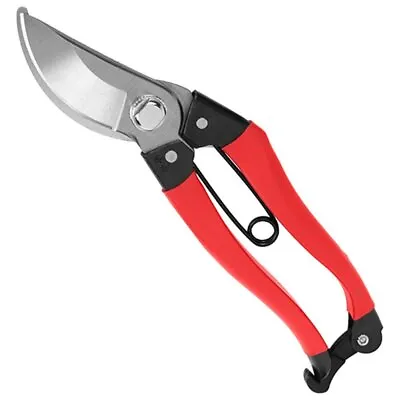 Senkichi Left-handed Pruning Shears Width 60 X Height 200 X Depth 25mm SGP-20L • £27.98