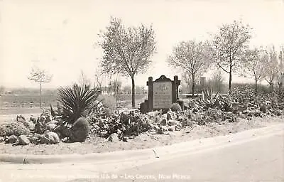 $9.98 • Buy RPPC Cactus Garden Highway 80, Las Cruces, New Mexico Real Photo Postcard 1946