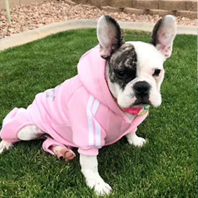 $7.99 • Buy Pink Pet Dog Clothes Cat Puppy Coat Winter Hoodies Warm Sweater Jacket Clothing