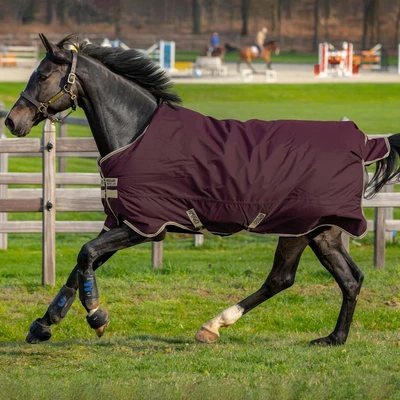 £68.95 • Buy Amigo Hero 600D With Ripstop 0g Turnout Horse Rug - Fig/Navy/Tan