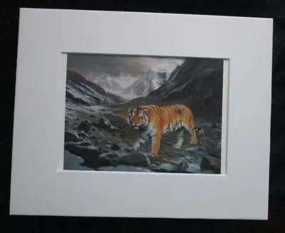 Charles Frace'   Siberian Tiger  8 X 10 Matted 1979 Print • $20.99