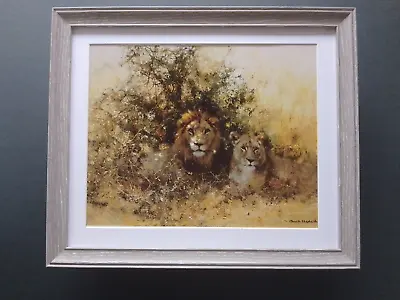 David Shepherd Print 'In The Shade' Lion And Lioness   FRAMED • £28.50