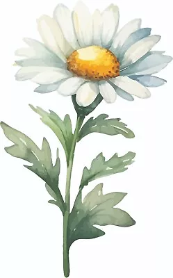 Daisy Flower With Leaf Vinyl Decal Sticker - Decor - A2884 • £4.99