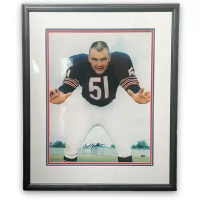 DICK BUTKUS Signed Chicago Bears Mounted Memories Framed 24x28 • $210