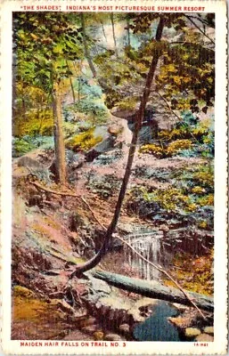 The Shades Maiden Hair Falls Trail Indiana White Border Teich 1931 Postcard IN • $6.50