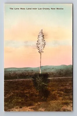 $14.99 • Buy Las Cruces NM-New Mexico, The Lone Mesa Land, Antique, Vintage Postcard
