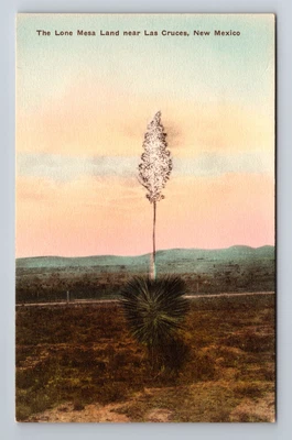 $14.99 • Buy Las Cruces NM-New Mexico, The Lone Mesa Land, Antique, Vintage Postcard