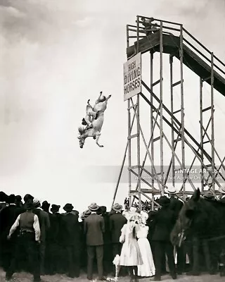 1930s High Diving Horse Photo - Sonora Webster Carver - Bizarre Odd Strange Art • $11.95