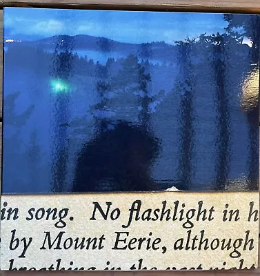 Mount Eerie - No Flashlight - Vinyl Record - Near Mint Condition • $25.68