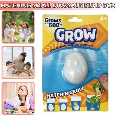 £3.18 • Buy Magic Grow Dinosaur Hatching Egg Toy Kids Party Favor Toy For Boys Girls