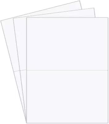 Essential 2-UP Laser Label Paper Half Sheet Self Adhesive Shipping Labels 8-1/2  • $19.99