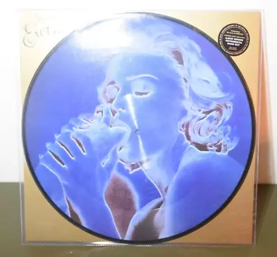 Madonna Erotica Picture Disc 30 Year Anniversary Vinyl New Sealed • £19.99