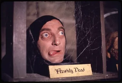 Young Frankenstein Unsigned 10  X 8  Photo - Igor - Marty Feldman *1340 • £2.60