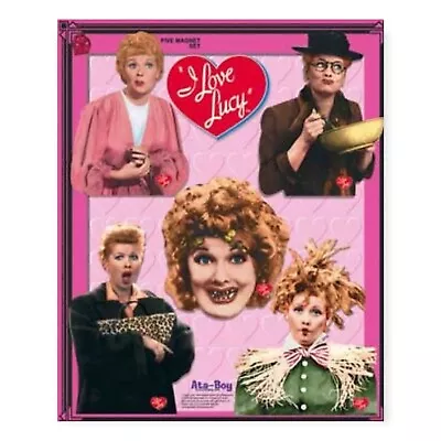 I Love Lucy TV Show Vintage 90s Pink Black Magnet Five Ct. Set • $19.95