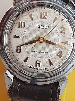 Vintage RODINA 22 Jewels Automatic USSR Made Rare Dial Watch • $140