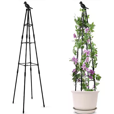 Metal Garden Plant Cage Support Garden Obelisk Strong Metal Plant Trellis • £13.65