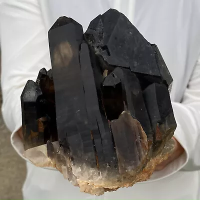 1.86LB Natural Beautiful Black Quartz Crystal Cluster Mineral Specimen Rare • $26