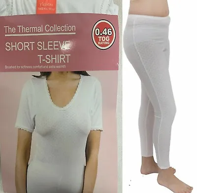 £5.99 • Buy Ladies Thermal Underwear Women Warm Short Sleeve T Shirt Built Up Vest Long Jane