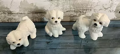 Homco Vintage 3pc White Maltese Westie Puppy Dogs #1411 • $21.99