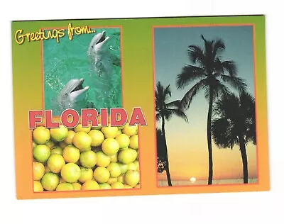 Greetings From Florida The Perfect Vacation Spot Postcard Unposted 4x6 • $4.95